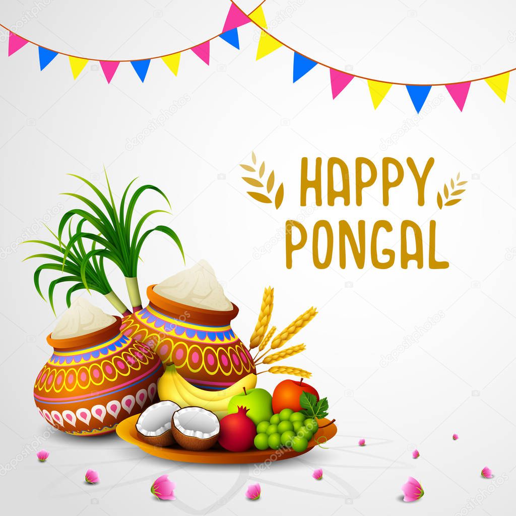 Vector illustration of Happy Pongal holiday festival celebration