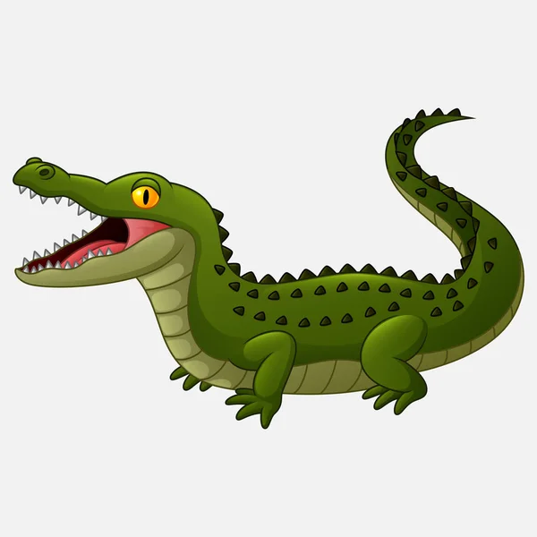 Crocodilo Dos Desenhos Animados Isolado Fundo Branco — Vetor de Stock