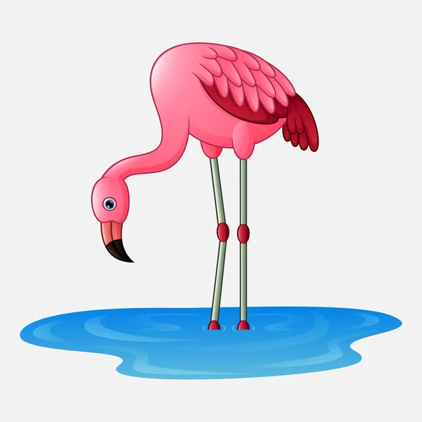 Cartoon Flamingo White Background — Stock Vector