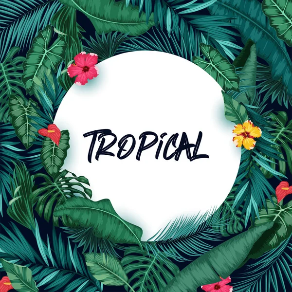 Fond Forêt Tropicale Avec Papier Rond — Image vectorielle