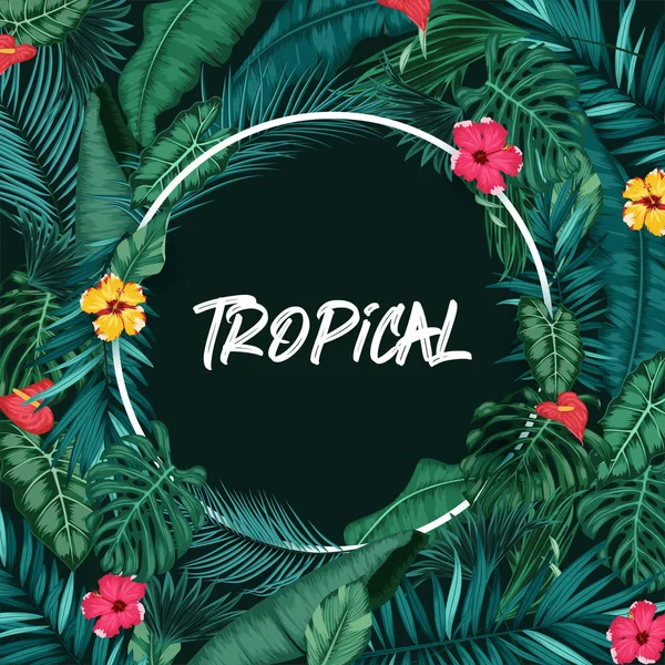 Bosque Tropical Con Marco Redondo Sobre Fondo Negro — Vector de stock