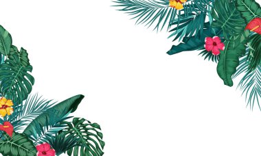 Beyaz arkaplanda yalıtılmış tropikal yapraklar