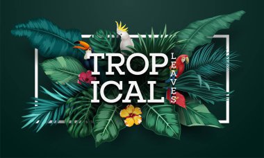 Kuşlar koleksiyonu ve tropik bitkiler arka plan