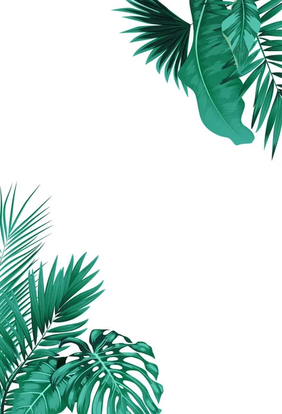 Marco Forma Hoja Tropical Sobre Fondo Blanco — Vector de stock