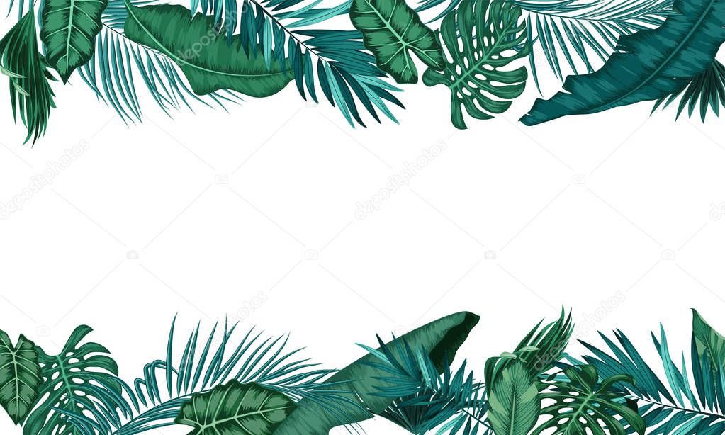 Tropical leaf shape frame on white background