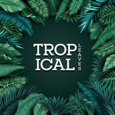 Siyah arka plan üzerine izole tropikal yaprak