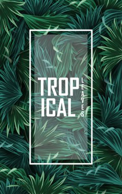 Tropikal yaprak orman arka plan