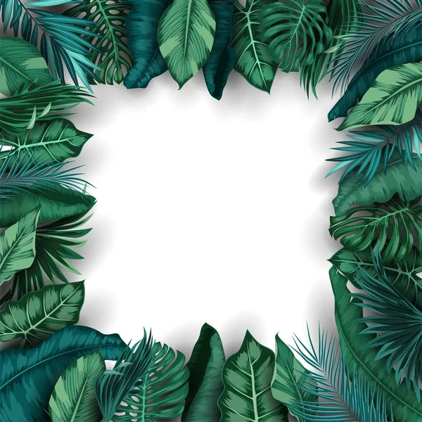 Feuilles Tropicales Isolées Sur Fond Blanc — Image vectorielle