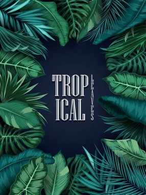 Üzerinde mavi arka plan izole tropikal yaprak