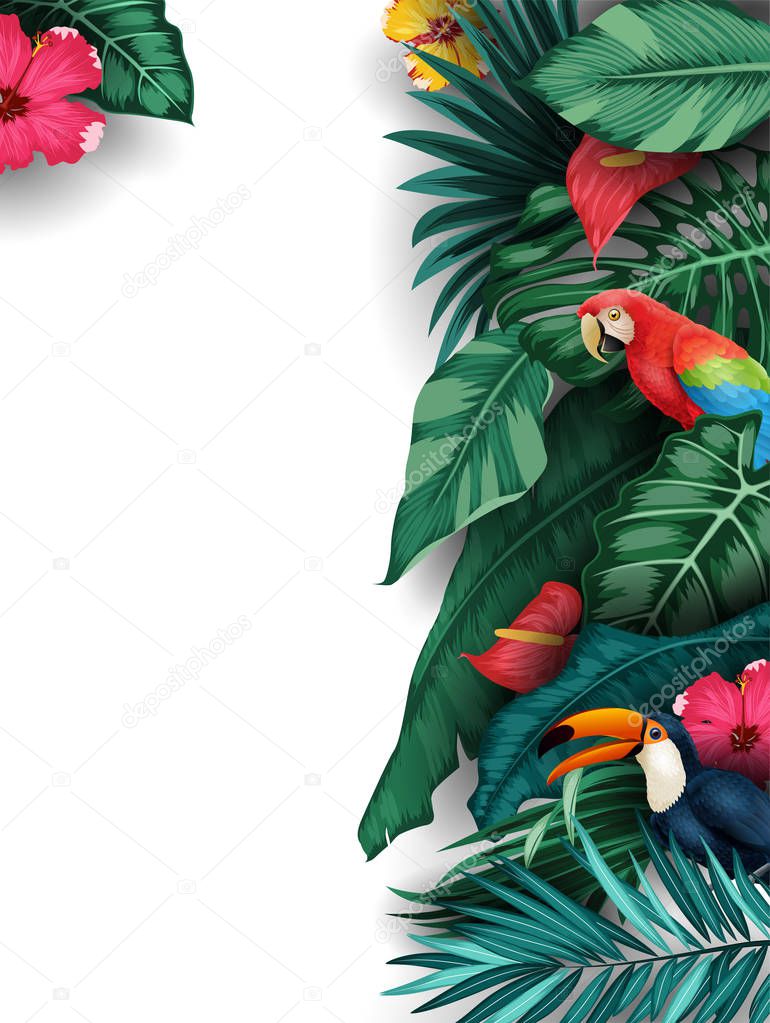 Tropical plants and birds collection set