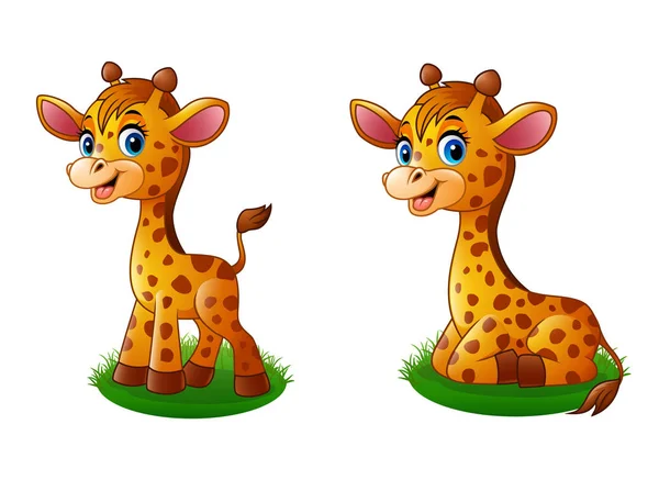 Conjunto de coleções de girafa de bebê dos desenhos animados — Vetor de Stock