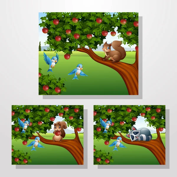 Esquilo de desenhos animados e racoon nas coleções de macieiras — Vetor de Stock