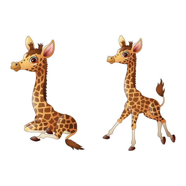 Милые коллекции карикатур на жирафов — стоковый вектор