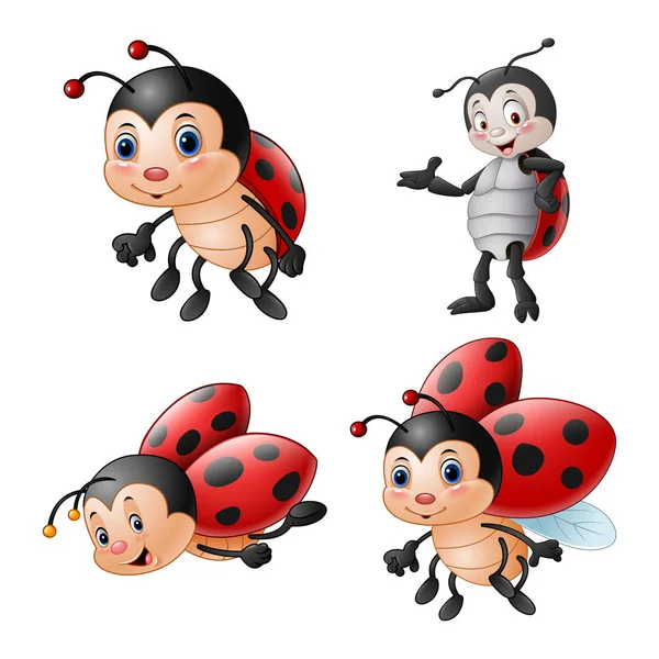 Cartoon funny ladybug illustration collections — Stock Vector