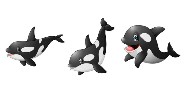 Cartoon Killer Whale illustratie slagzetten — Stockvector