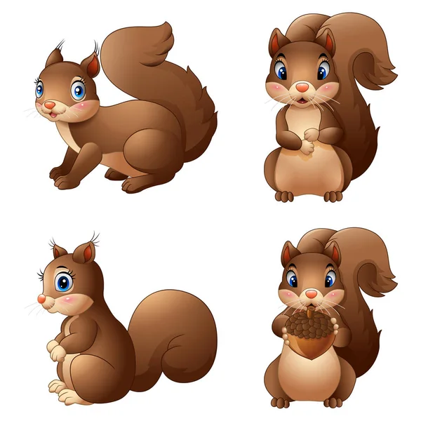 Cartoon niedliches Eichhörnchen posiert Sammlungen — Stockvektor