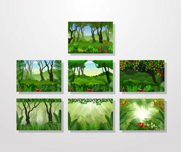 Tropical forest background illustration collections — Stock Vector