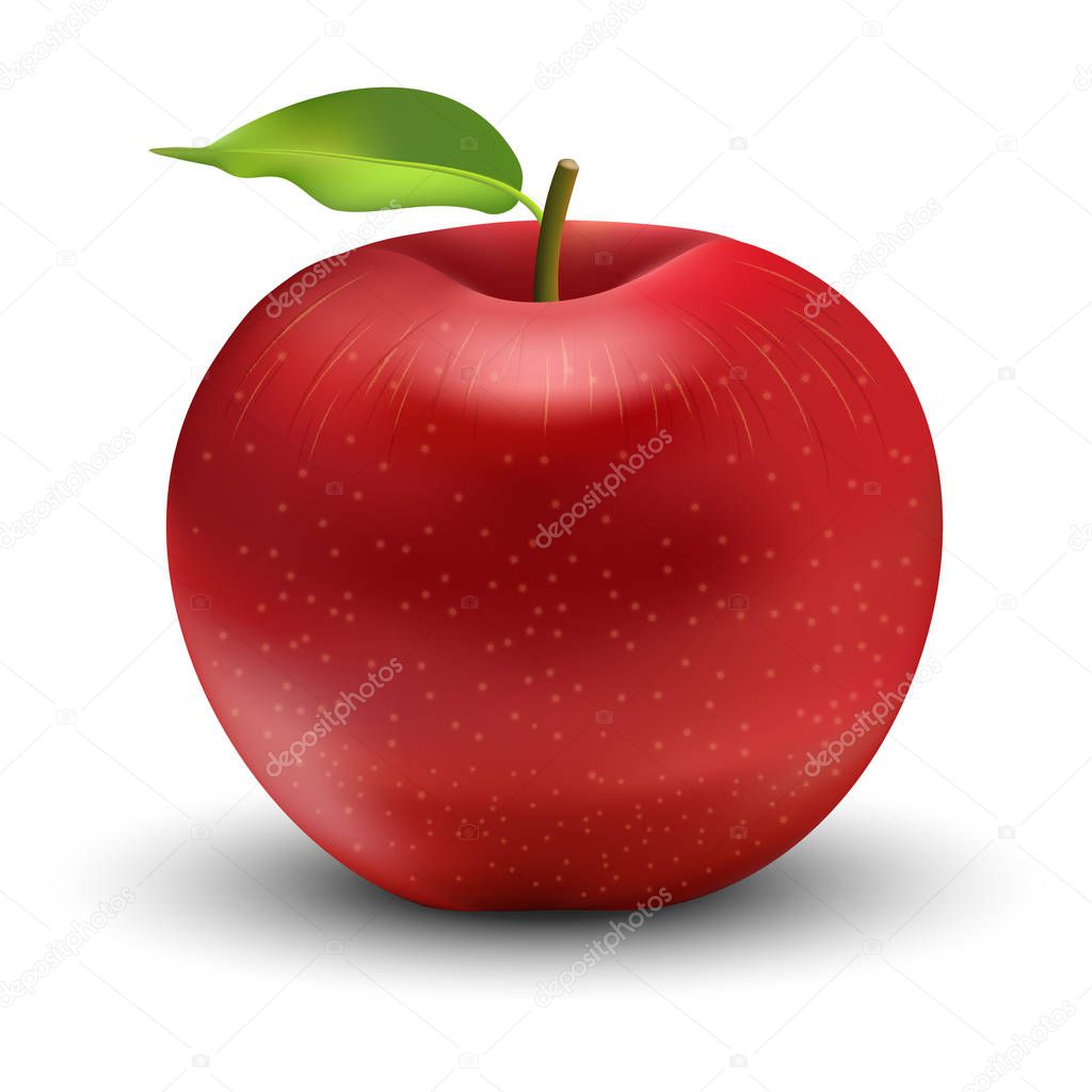 Vector illustration of red apple