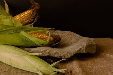 Yeşil yaprakları ile koçan üzerinde olgun mısır. Koyu malzeme arka plan karşı taze hasat mısır koçanbir kompozisyon.