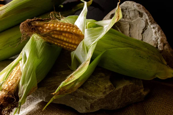 Ripe corn on the cob with green leaves. A composition of freshly harvested corn cobs against a dark material background.