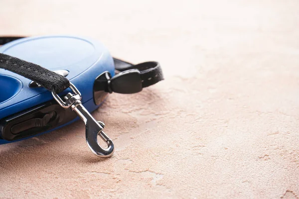 Cachorro Azul Retrátil Fundo Bege Com Espaço Para Texto — Fotografia de Stock