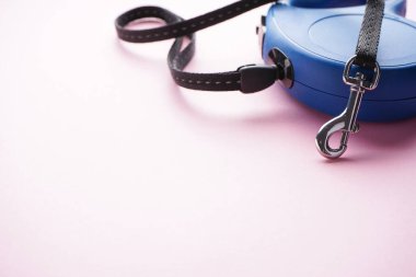 Pembe arka planda mavi köpek tasması. Metin için boşluk, yakın plan.