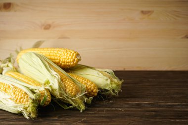 Tahta arka planda olgun mısır, metin için yer..