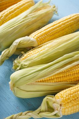 Beyaz ahşap zemin üzerinde olgun çiğ mısır koçanları.