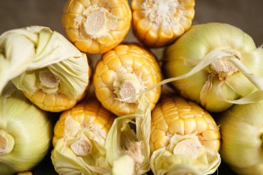 Gri arka planda olgun mısır, yakın plan.