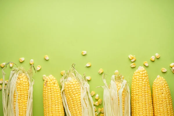 Las Espigas Maduras Maíz Sobre Fondo Verde Lugar Para Texto — Foto de Stock