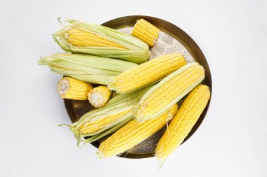 Beyaz arka planda, tepside taze mısır.