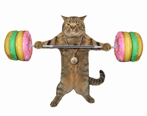 Katten Håller Donut Skivstång Vit Bakgrund — Stockfoto