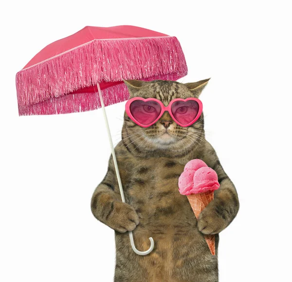 Chat Aux Lunettes Soleil Tient Parapluie Rose Une Crème Glacée — Photo