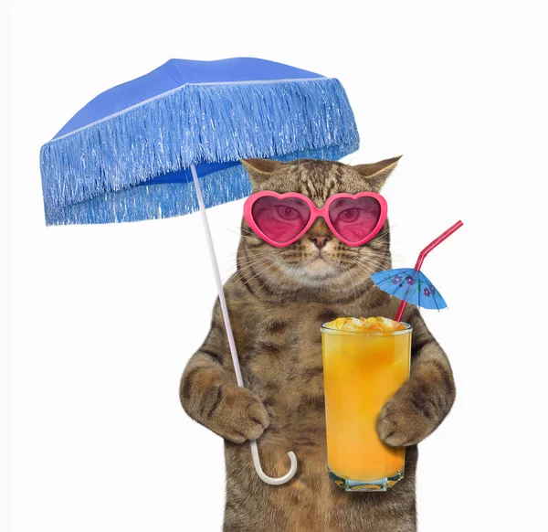 Cat Sunglasses Holds Blue Parasol Glass Fruit Juice White Background — Stock Photo, Image