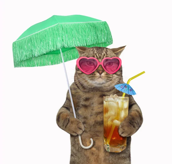 Cat Sunglasses Holds Green Parasol Glass Iced Tea White Background Stock Image
