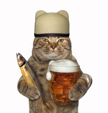 Hasır şapkalı kedi bir bardak bira tutar ve uskumru füme. Beyaz arka plan.