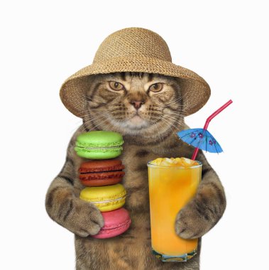 Hasır şapkalı kedi bir bardak meyve suyu ve kurabiye yığınını tutar. Beyaz arka plan.