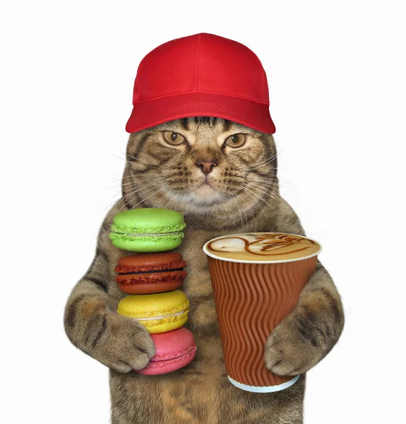 Kot Czerwonym Daszkiem Posiada Filiżankę Kawy Stos Pliki Cookie Białe — Zdjęcie stockowe