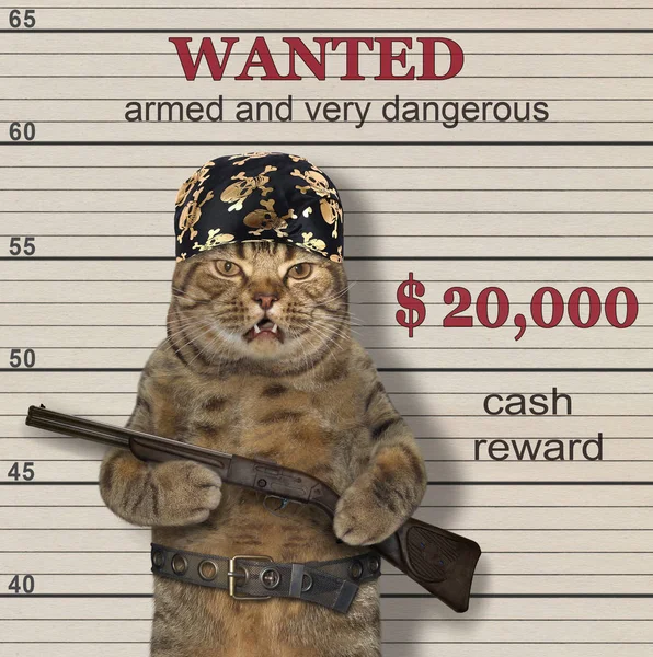 The cat criminal in the pirate bandana holds a rifle. He is wanted.