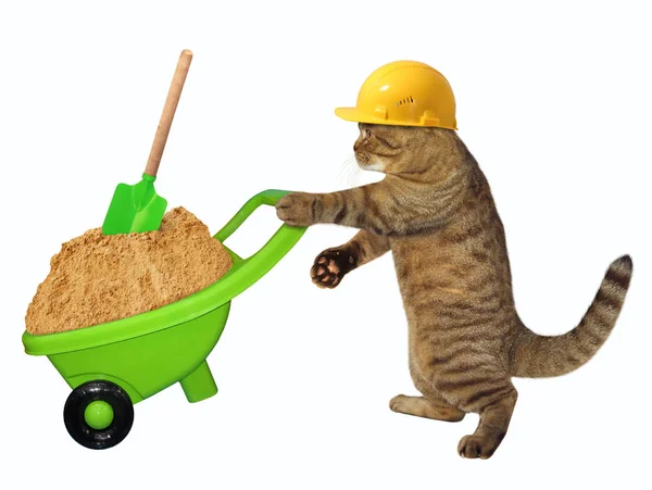 Trabalhador Gato Capacete Segurança Empurra Carrinho Mão Verde Com Areia — Fotografia de Stock
