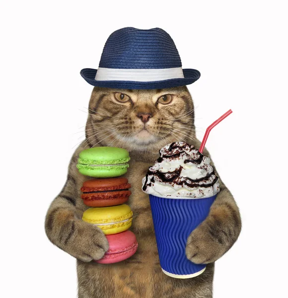Cat Hat Holds Blue Balloon Cup Coffee Stack Cookies White Royalty Free Stock Photos