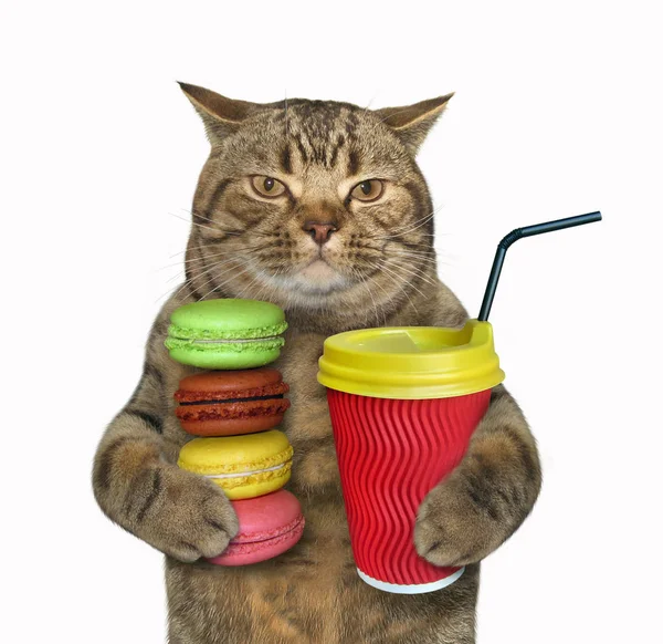 Cat Holds Cup Coffee Stack Cookies White Background Stock Photo