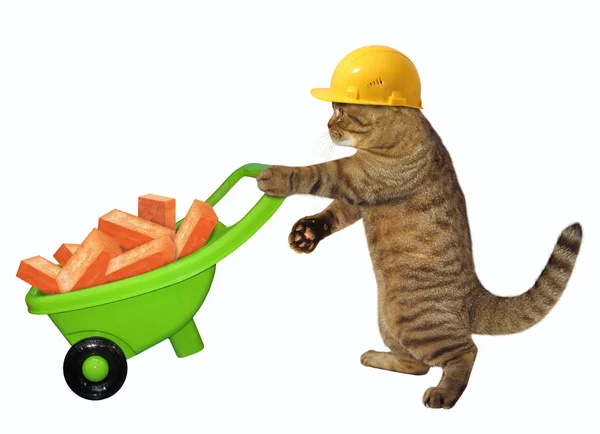 Trabalhador Gato Capacete Amarelo Segurança Empurra Carrinho Mão Verde Com — Fotografia de Stock