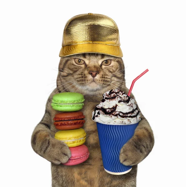 Kot Czapkę Złota Posiada Filiżankę Kawy Stos Pliki Cookie Białe — Zdjęcie stockowe