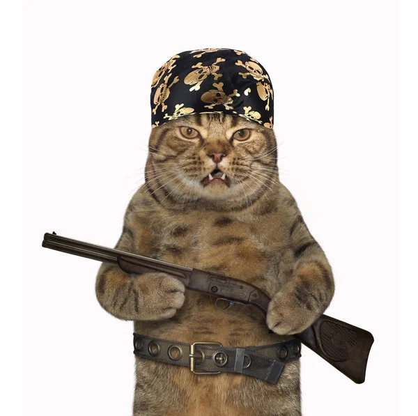 Kat Misdadiger Bandana Piraat Houdt Een Geweer Witte Achtergrond — Stockfoto