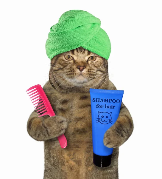 Cat Green Towel His Head Holding Red Comb Shampoo White — Stock Photo, Image