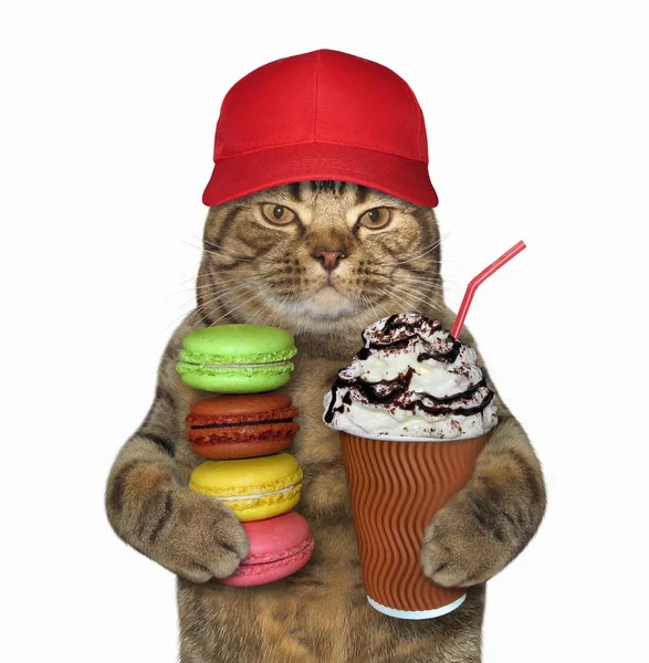 Macska Piros Sapkát Tart Egy Csésze Kávé Egy Halom Cookie — Stock Fotó