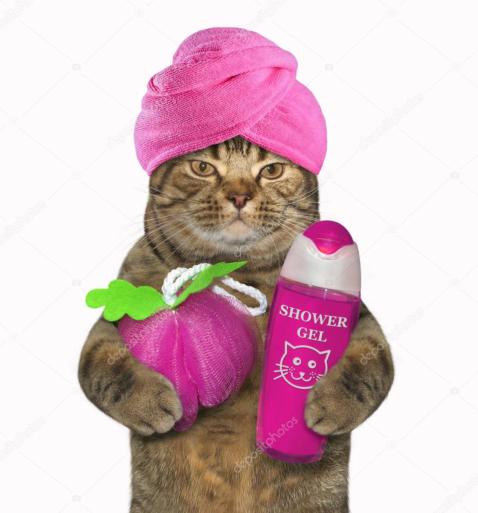 The cat with a towel around his holds a sponge for shower and a pink bottle of gel. White background.