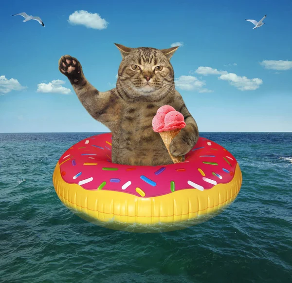 Кошка Фруктовым Мороженым Надувном Круге Море — стоковое фото