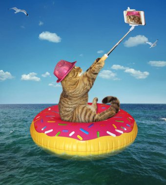 Pembe şapkalı kedi bir selfie şişme çember üzerindeki denizde yapar..